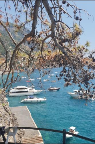 Φυσικό τοπίο κοντά σε αυτό το bed & breakfast