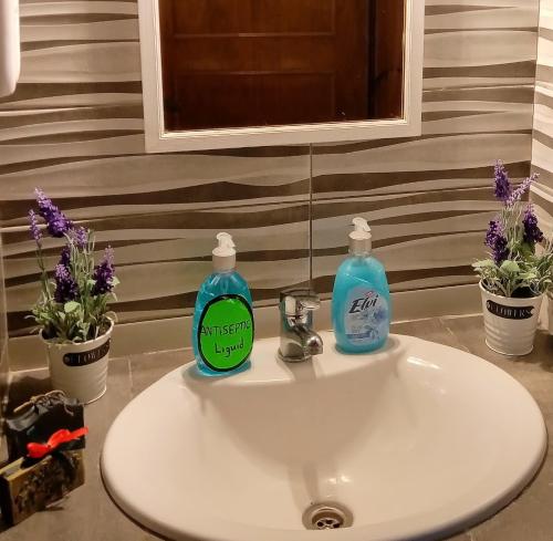 a bathroom sink with two bottles of soap on it at Katia's Apartments in Sarti