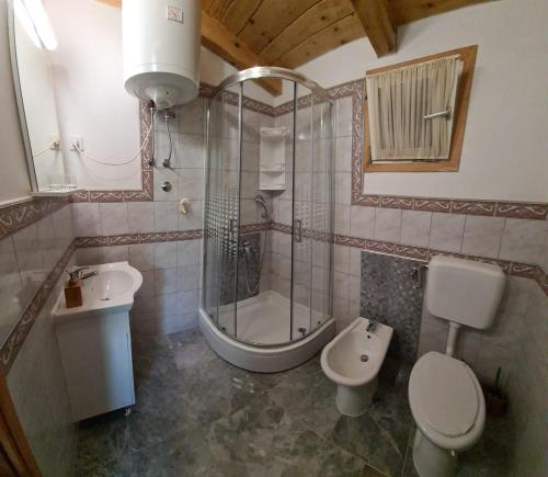 uma casa de banho com um chuveiro, um WC e um lavatório. em Apartments Villa Arta em Murter