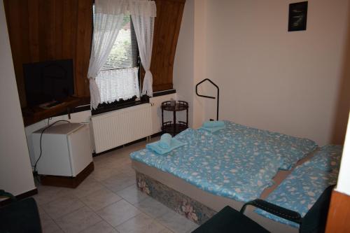 a room with a bed and a tv and two windows at Penzion RONY in Radějov