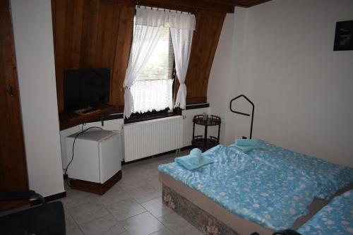 a bedroom with a bed and a window and a television at Penzion RONY in Radějov