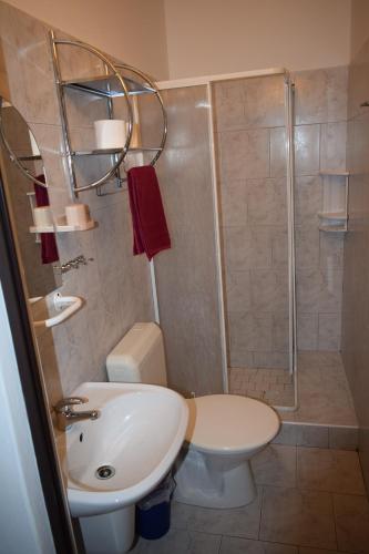 a bathroom with a shower and a sink and a toilet at Penzion RONY in Radějov