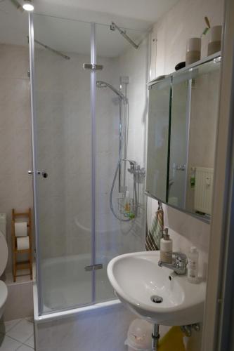 La salle de bains est pourvue d'un lavabo et d'une douche avec une porte en verre. dans l'établissement Lichtblick - sonnige Ferienwohnung in Meißen am Lutherplatz, à Meissen