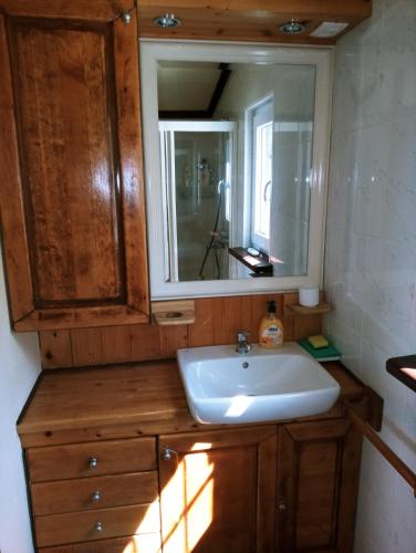 ein Bad mit einem Waschbecken und einem Spiegel in der Unterkunft Apartments Pomjan Pogled na gore in Pomjan