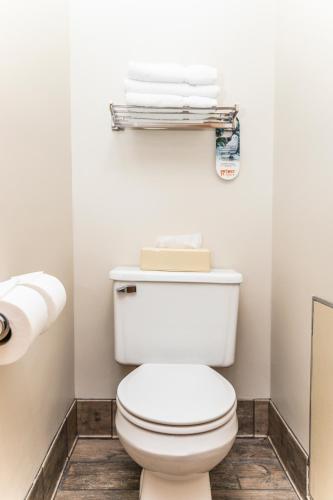a bathroom with a white toilet and towels at SureStay Plus Hotel by Best Western Elizabethtown Hershey in Elizabethtown