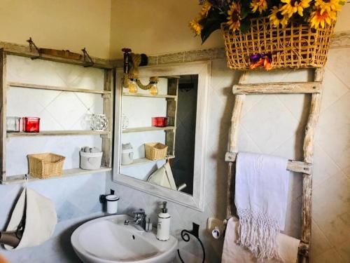 y baño con lavabo y espejo. en Salto di Gatto, en Castellina in Chianti