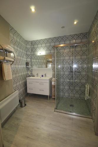 a bathroom with a shower and a sink at La ferme aux chats in Formigny