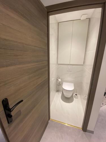 a bathroom with a toilet in a room at Le Duplex St Nicolas in Beaune