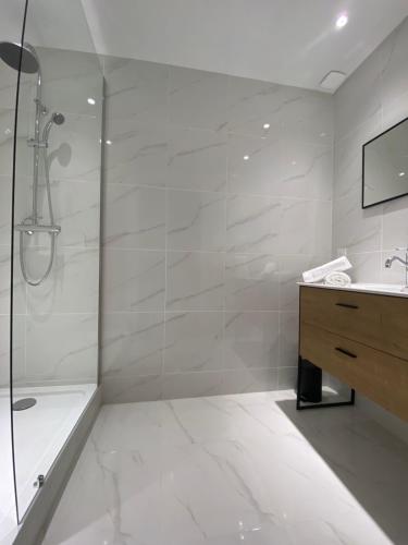 een badkamer met een douche, een wastafel en een bad bij Le Duplex St Nicolas in Beaune