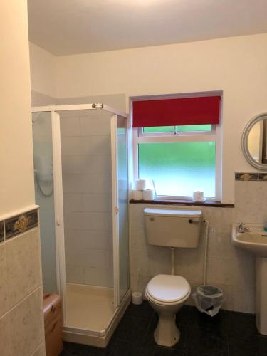 baño con aseo y ducha y ventana en Drumcoura Bungalow en Leitrim