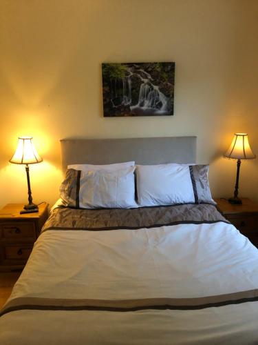 a bedroom with a large bed with two lamps at Drumcoura Bungalow in Leitrim