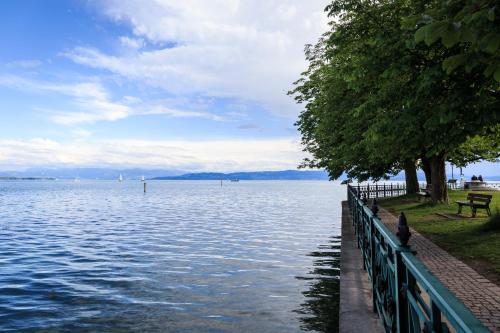 a body of water with a bench and a tree at Auszeit Apartment LAKESIDE mit Privatstrand in Friedrichshafen