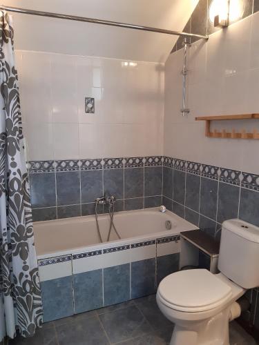 a bathroom with a bath tub and a toilet at gîte Le cheval ardennais in Gouvy