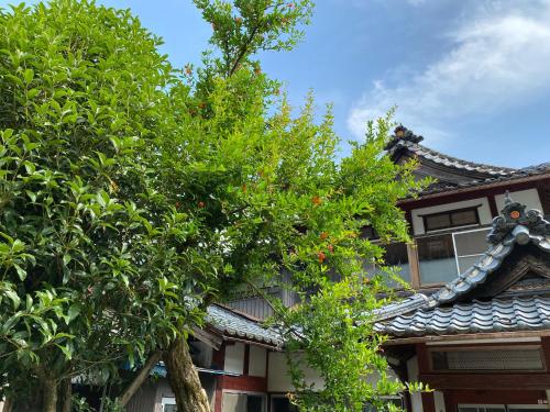 an asian building with a tree in front of it at 田舎生活体験福井県観光者向け古民家 in Sabae