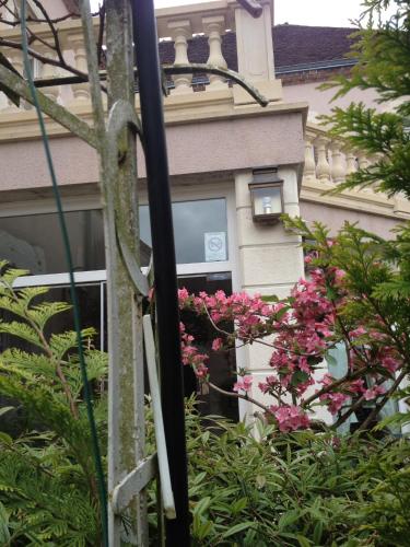 a street light in front of a house with pink flowers at Blanche de Castille in Bléneau