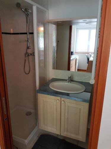 uma casa de banho com um lavatório, um chuveiro e um espelho. em STUDIO 21 M2 TOUT EQUIPE em Modane