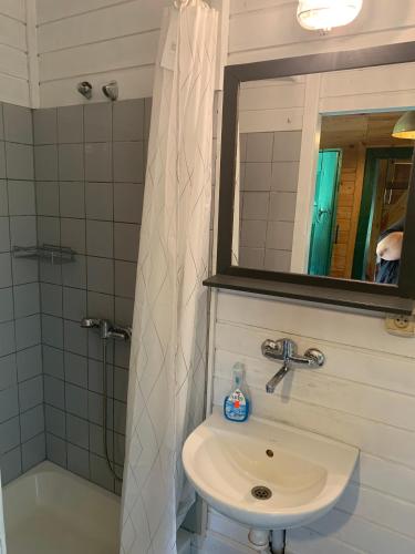 a bathroom with a sink and a shower with a mirror at DOMY na GÓRCE in Narty