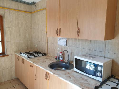 a kitchen with a sink and a microwave at Мини-гостиница У МОРЯ Джемете in Anapa