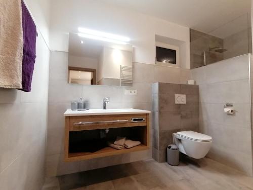 a bathroom with a sink and a toilet at Apart Bergliebe Pitztal in Arzl im Pitztal