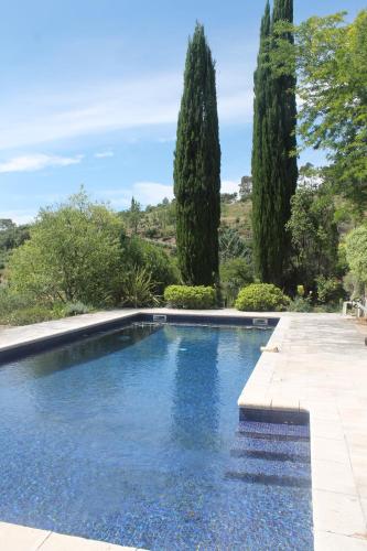 une piscine avec des arbres en arrière-plan dans l'établissement mas bomure, à Taradeau