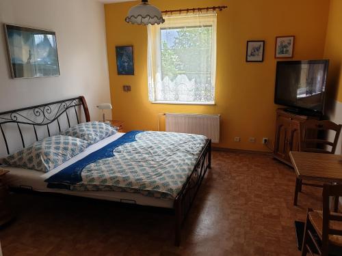 Schlafzimmer mit einem Bett, einem TV und einem Fenster in der Unterkunft Penzion Cizku u Trebone in Třeboň