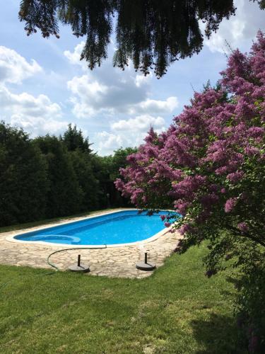 a swimming pool with a flowering tree next to it at Héregi Éden Vendégház in Héreg