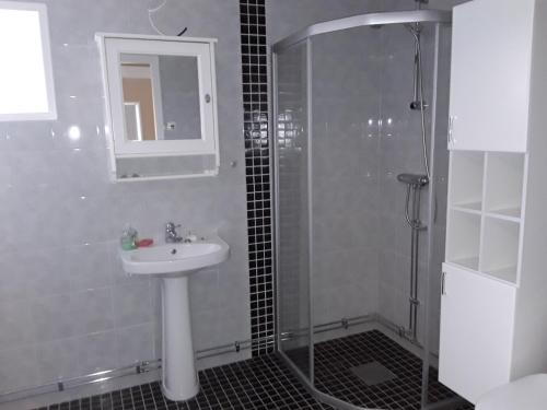 a bathroom with a shower and a sink and a shower at The Cottage Badelunda in Västerås