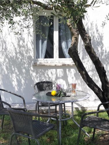 une table et des chaises sous un arbre avec une orangette dans l'établissement Le coin des Oliviers, à Puget-sur Argens