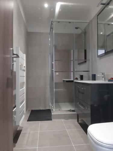 une salle de bain avec une douche, des toilettes et un lavabo dans l'établissement Le coin des Oliviers, à Puget-sur Argens