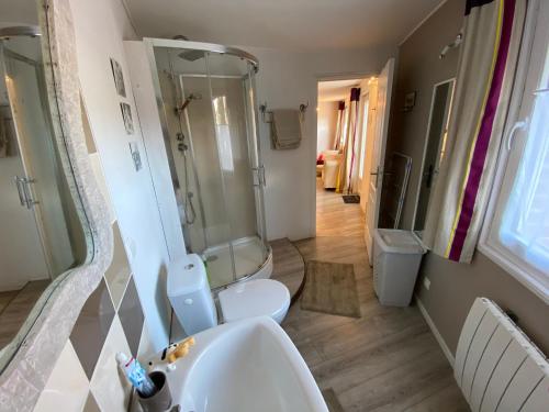 a bathroom with a sink and a shower and a toilet at Studio rez-de-chaussée, à Lesquin/Lille aéroport in Lesquin