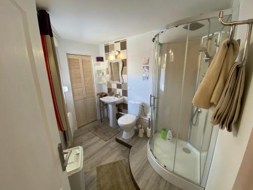 a bathroom with a shower and a toilet and a sink at Studio rez-de-chaussée, à Lesquin/Lille aéroport in Lesquin