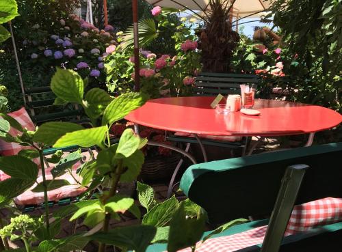 Zahrada ubytování Hotel Mozart