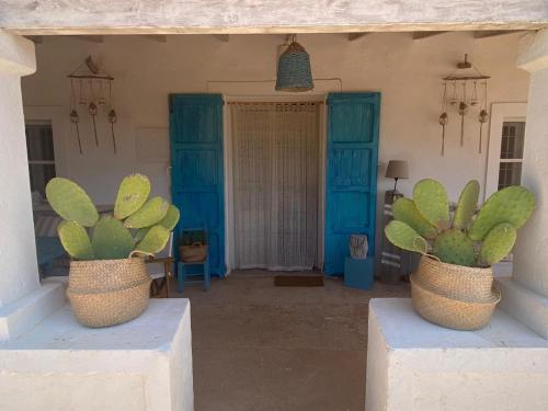 two potted plants sitting on a porch with blue doors at CAN PEP MAYANS in La Mola