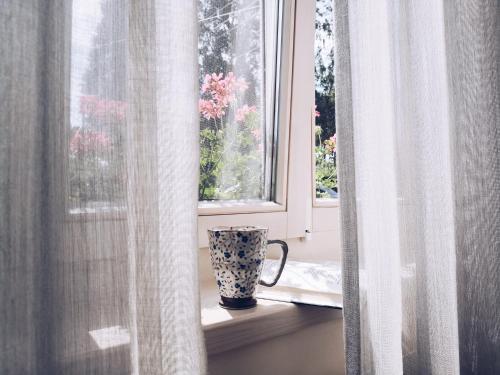 um vaso sentado no peitoril de uma janela ao lado de uma janela em Guest house ''8 Smilgos'' em Klaipėda