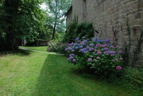 a garden with purple flowers next to a brick wall at B&B Chateau le Bois in Saint-Julien-aux-Bois