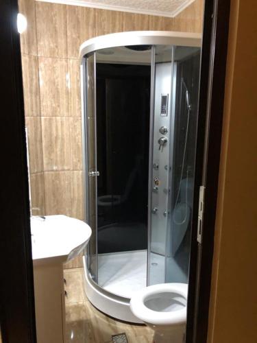 a bathroom with a shower with a toilet and a sink at Pensiunea Mirela Peștera Urșilor in Chişcău