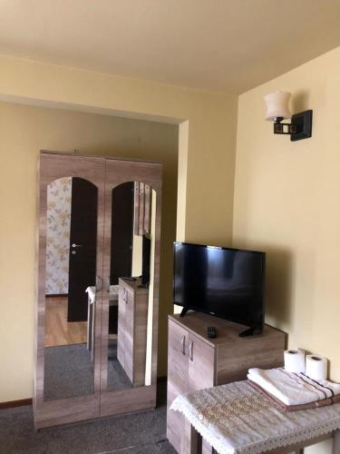 a living room with a tv and a large mirror at Pensiunea Mirela Peștera Urșilor in Chişcău