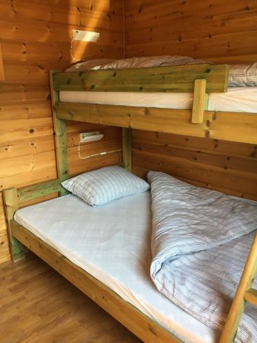 2 Etagenbetten in einer Hütte mit Holzwänden in der Unterkunft Nesheim Hytter & Camping in Bjordal