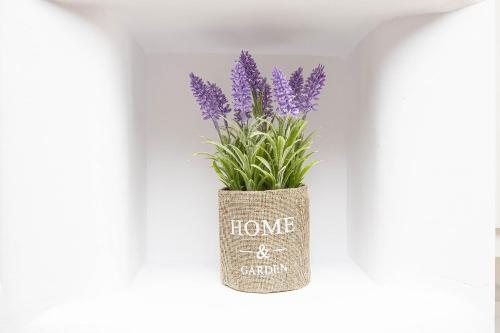 a vase with purple flowers in it on a wall at Anius Apartments in Mýkonos City
