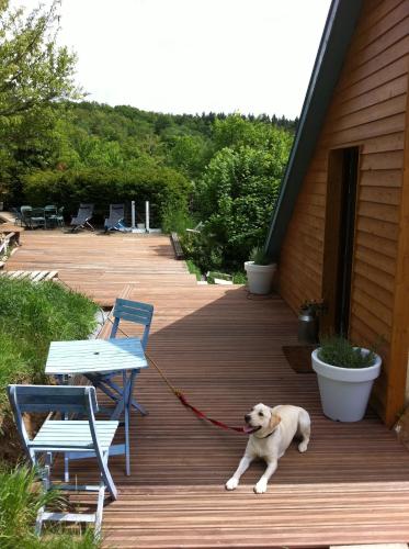 a dog is on a leash on a deck at Loft "Home, Sauna & Pool" in Osenbach