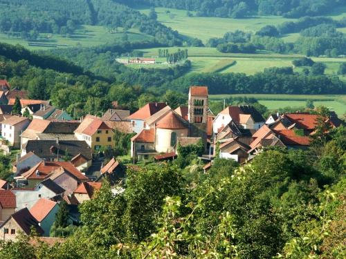 a group of houses on a hill in a village at Loft "Home, Sauna & Pool" in Osenbach