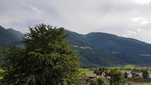 a tree in the foreground with mountains in the background at Haus Garten An der Sonne in Niedernsill