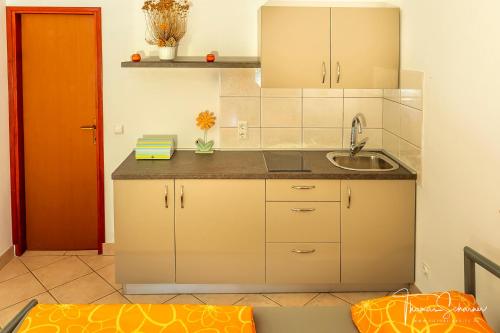 cocina con fregadero y encimera en Apartments Natali, en Sveti Petar