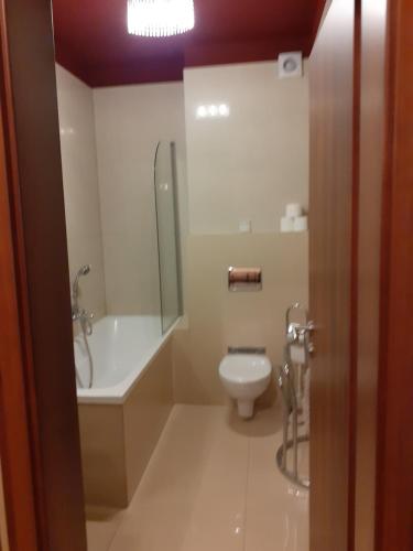 een badkamer met een toilet, een douche en een wastafel bij Apartmán Pod Tatrami in Veľká Lomnica