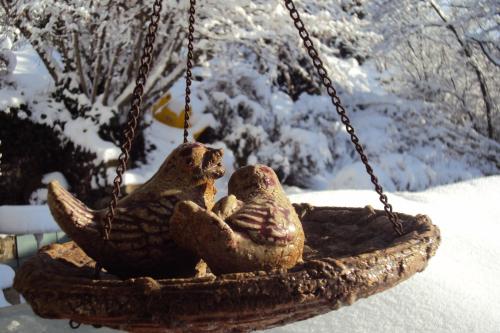two birds sitting in a bird feeder at Loft "Home, Sauna & Pool" in Osenbach