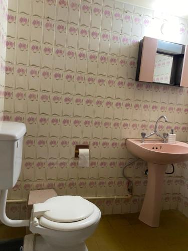 a bathroom with a toilet and a sink at Past or Tail rooms in Larnaka