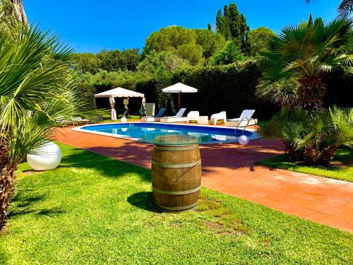 a swimming pool with chairs and a barrel in a yard at B&B A Casa Di Joy in Lecce