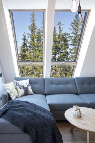 a blue couch in a room with two large windows at Green Deer Premium in Zakopane
