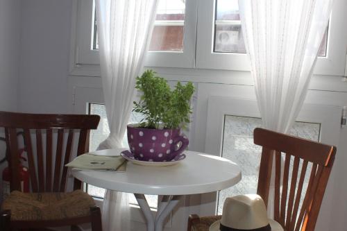 a table with a potted plant on it next to a window at Studios Kira Veta in Potos