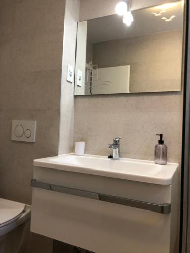 a bathroom with a sink and a mirror and a toilet at Guest House Stipe in Brela